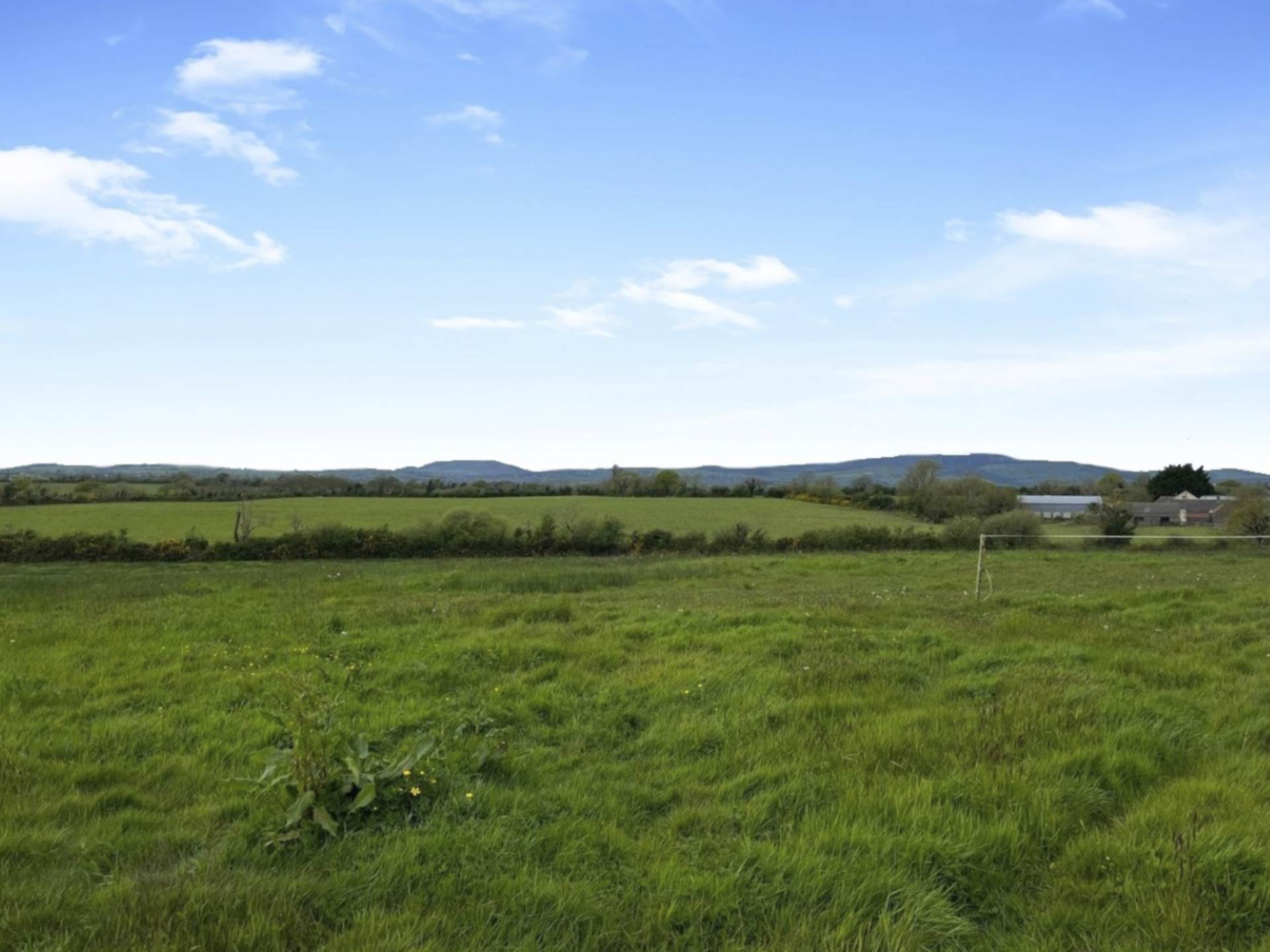 Cloneranny, Castletown, Gorey, Co. Wexford