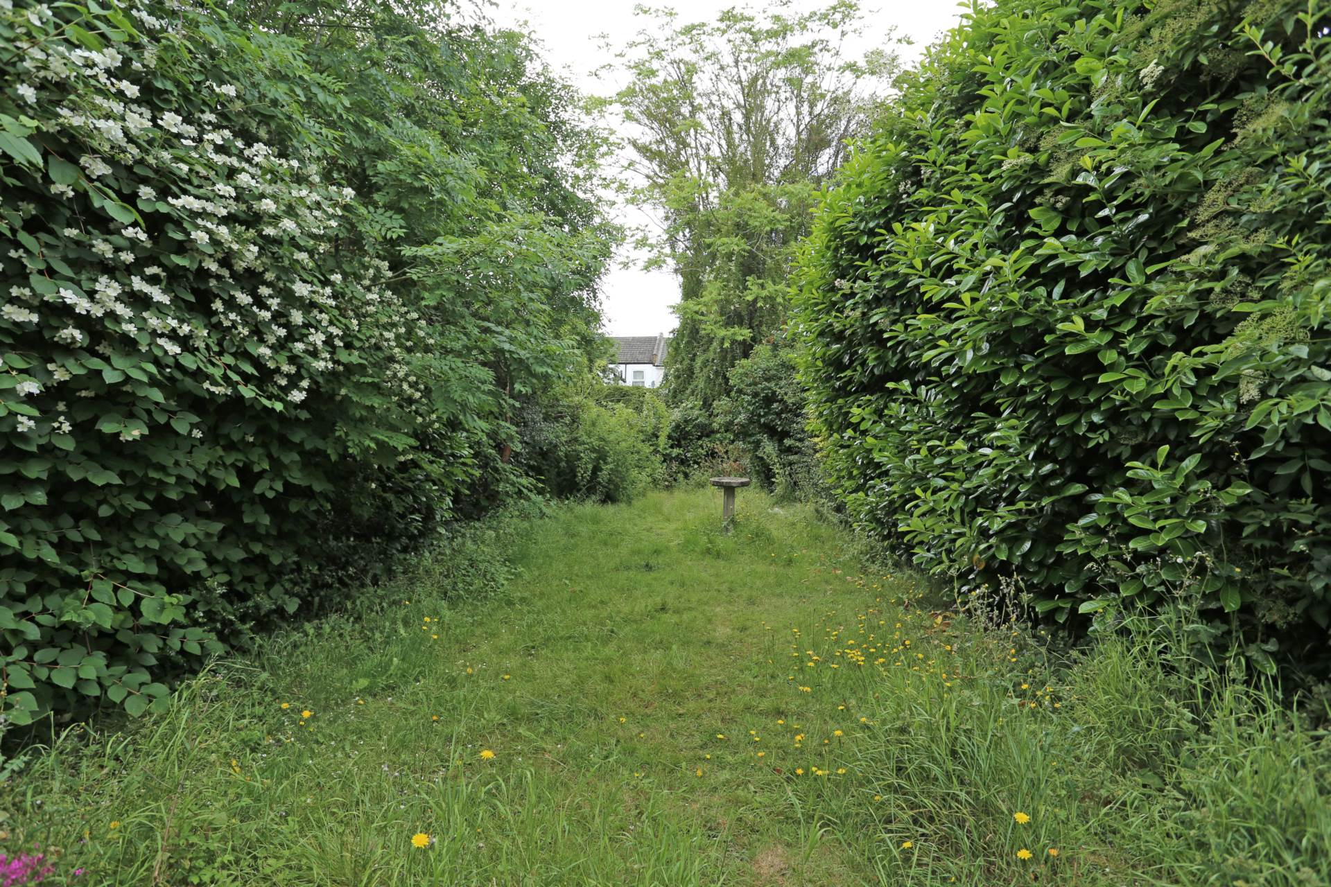 Kings Avenue, Chadwell Heath, Romford, RM6, Image 11