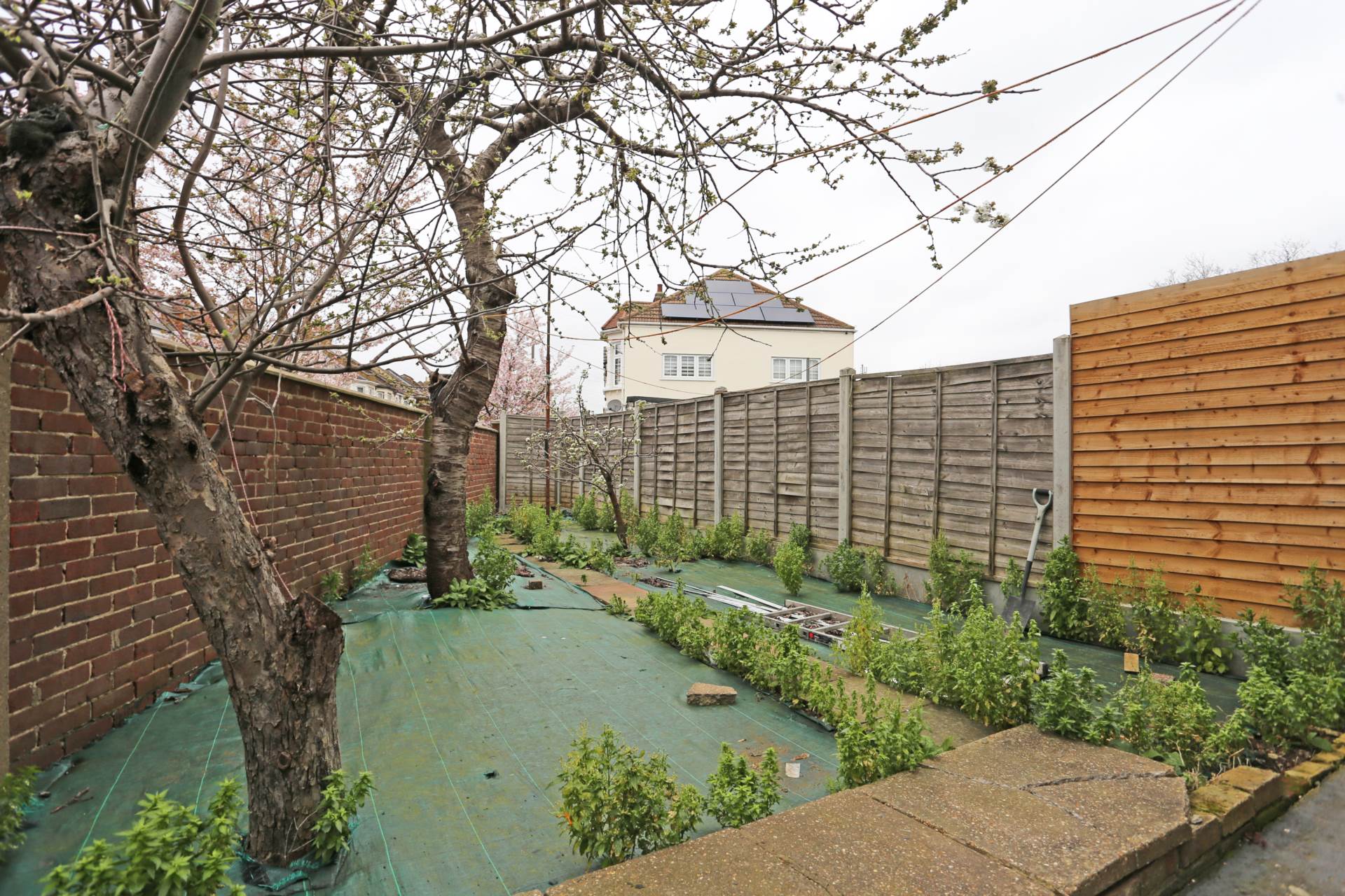 Browning Road, Manor Park, London, E12, Image 16