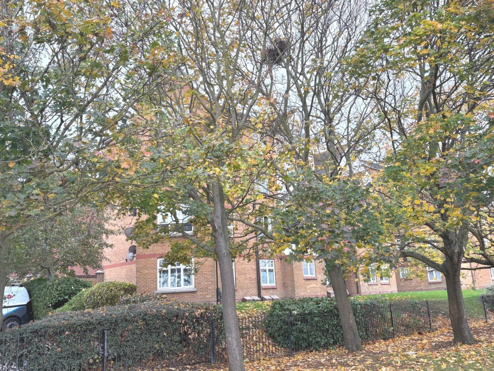 Greenhaven Drive, Thamesmead, SE28 8FU, Image 12