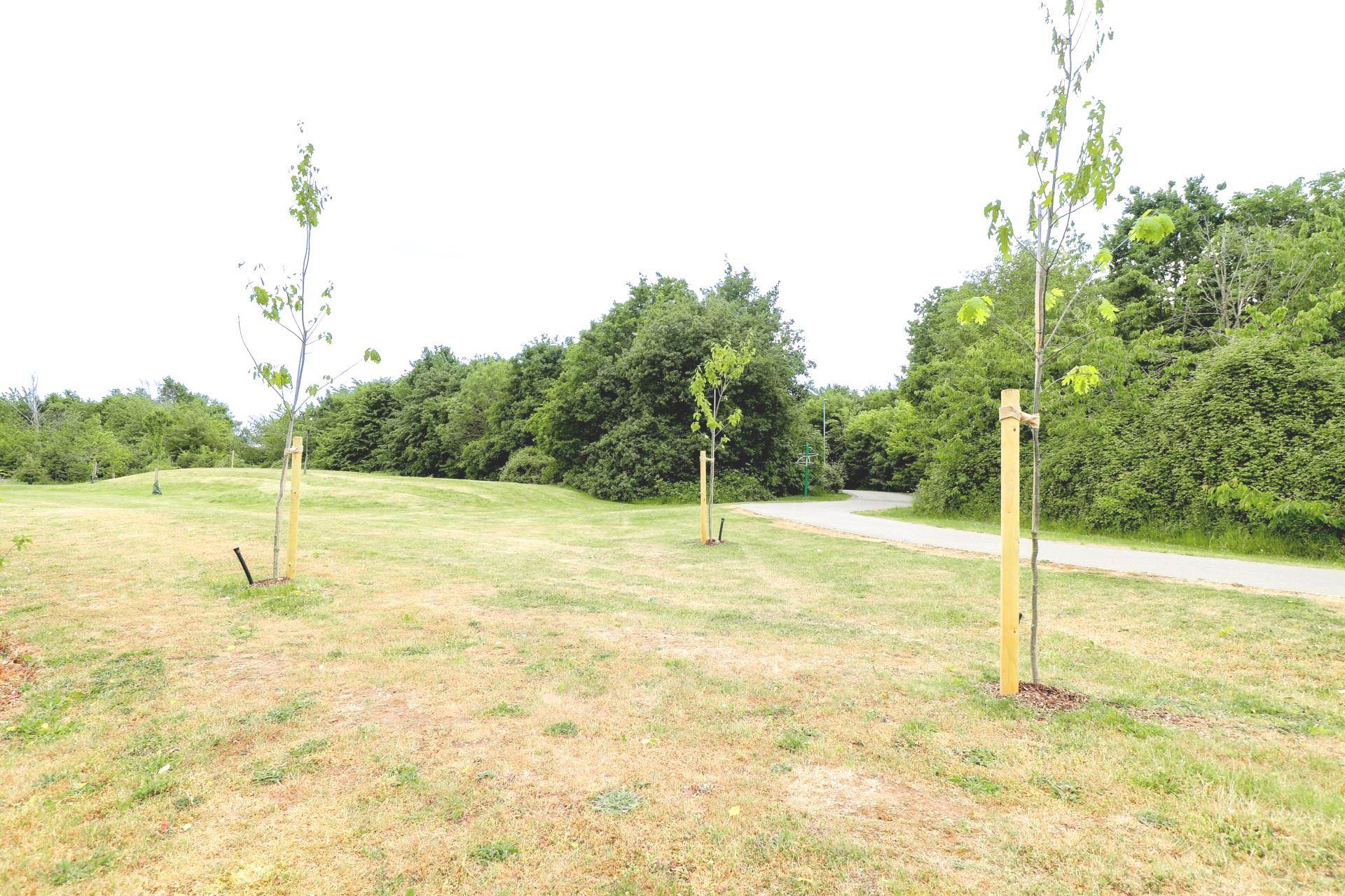 Turner Gardens, Witham, CM8 2ZQ, Image 14