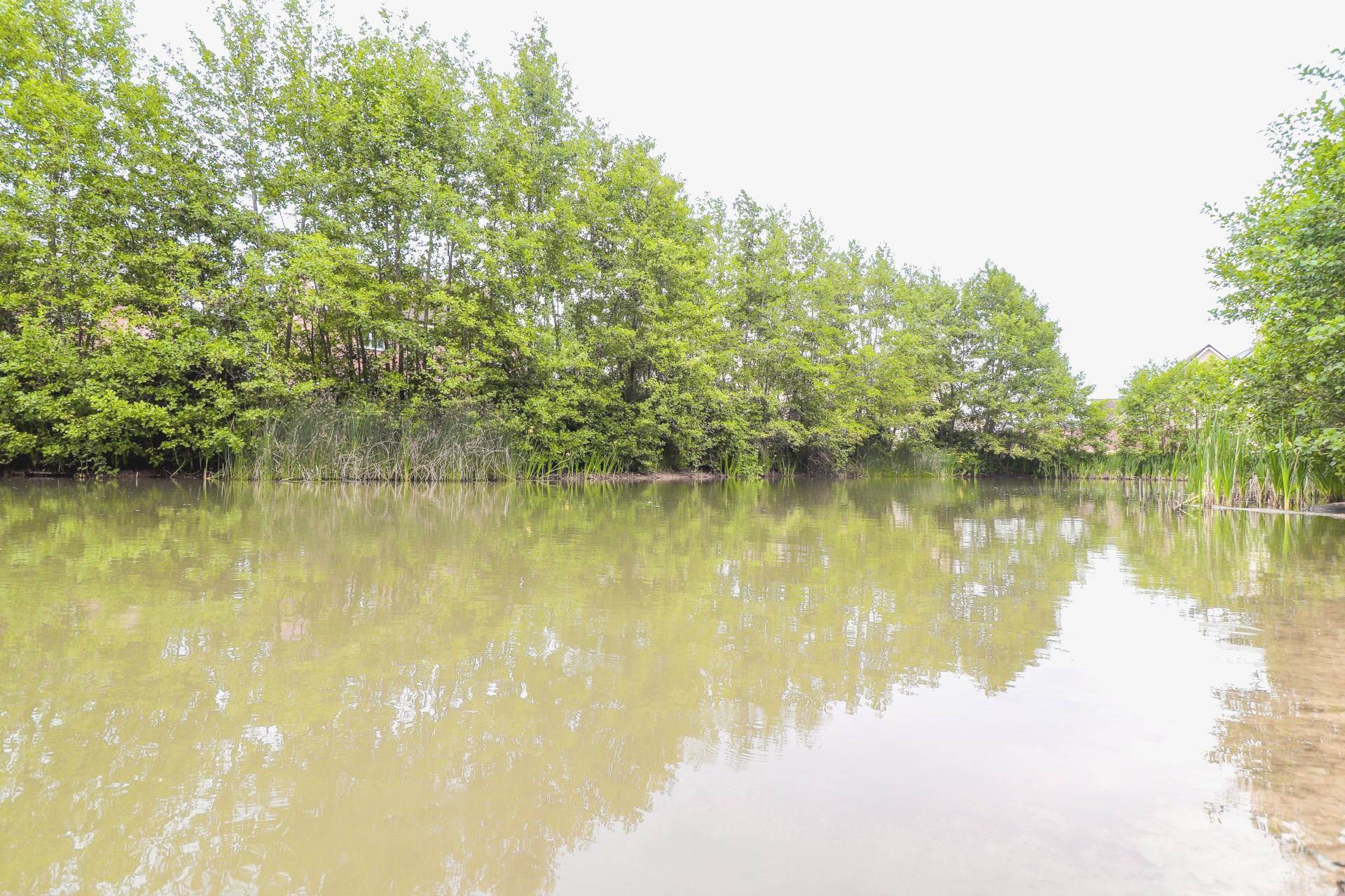 Turner Gardens, Witham, CM8 2ZQ, Image 15