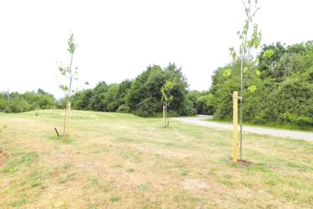 Turner Gardens, Witham, CM8 2ZQ, Image 14