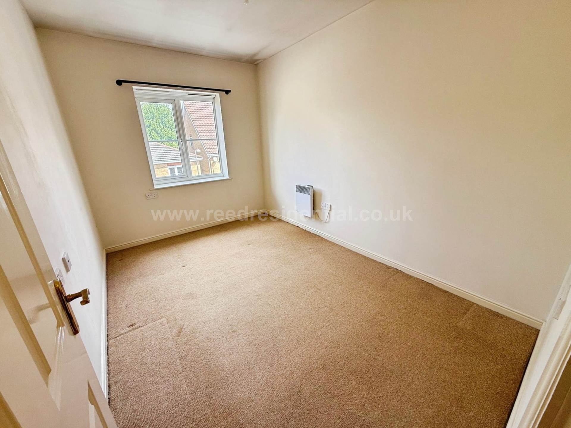 Winderemere Ave, Image 5