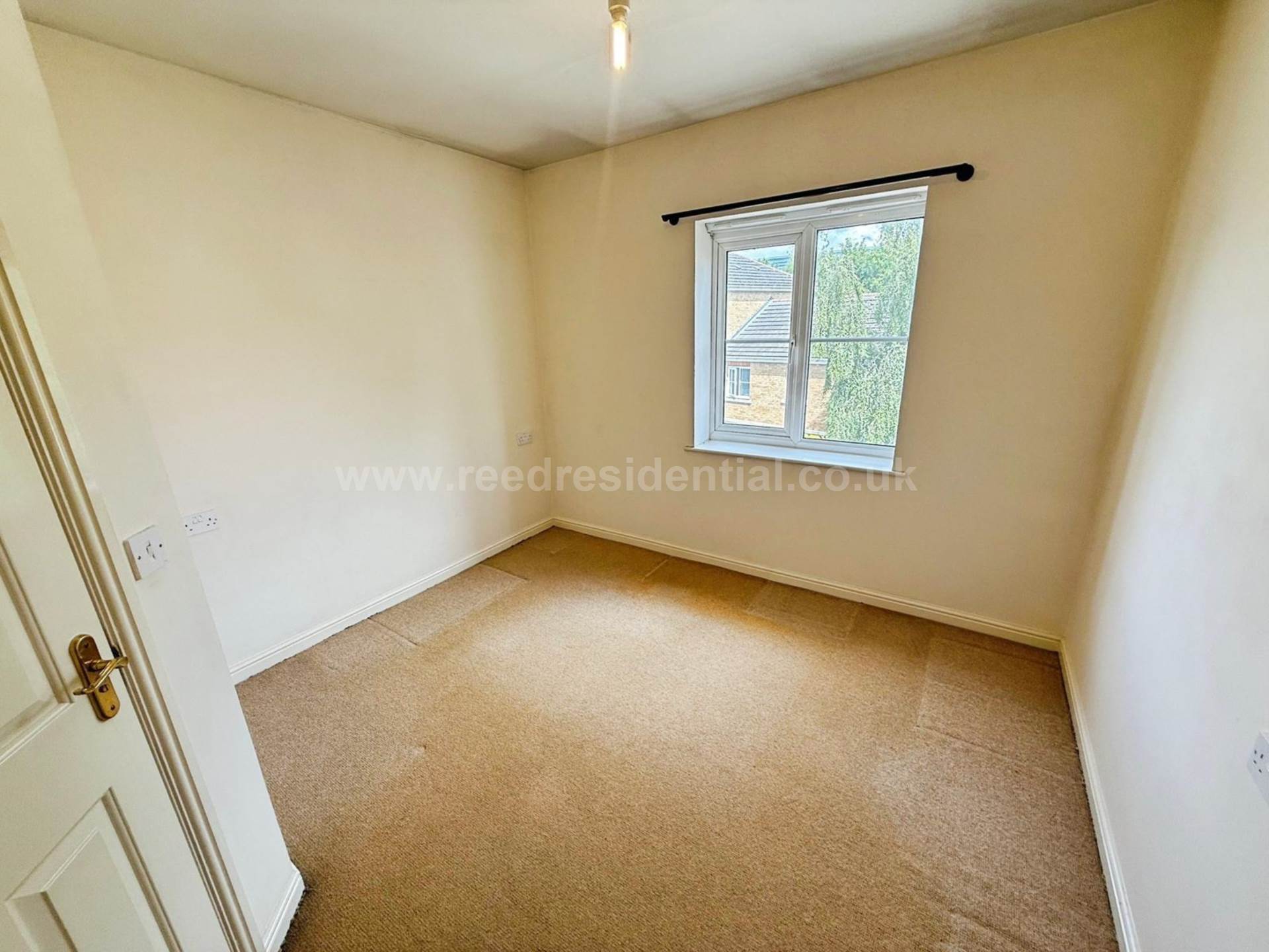 Winderemere Ave, Image 9