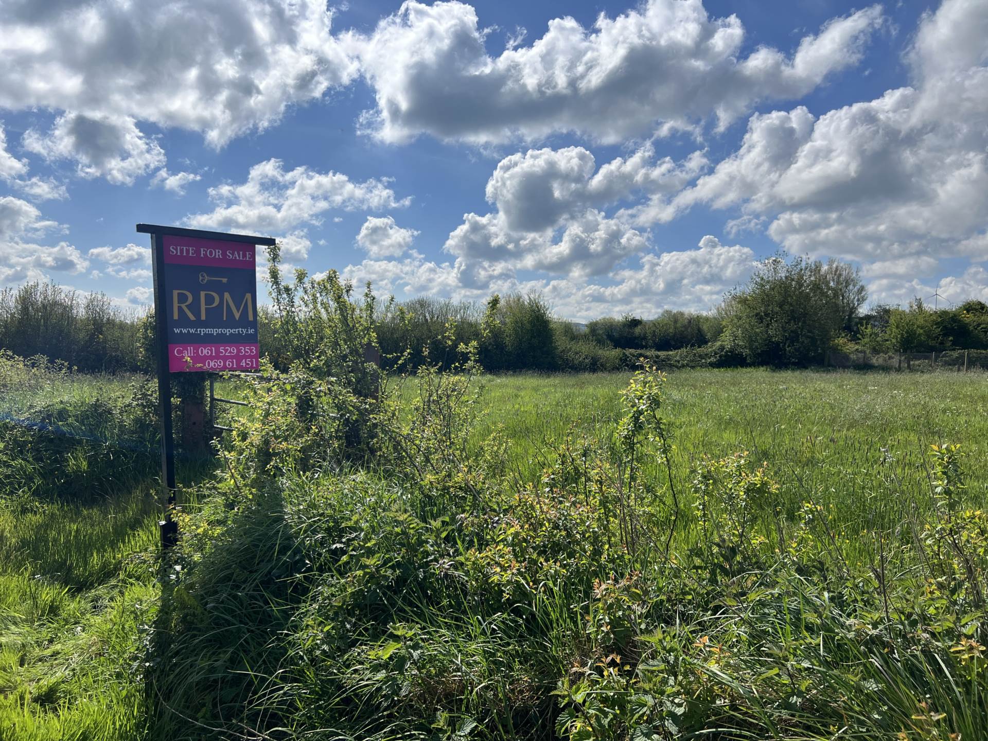 Ballagh, Raheenagh  Ballagh, Raheenagh