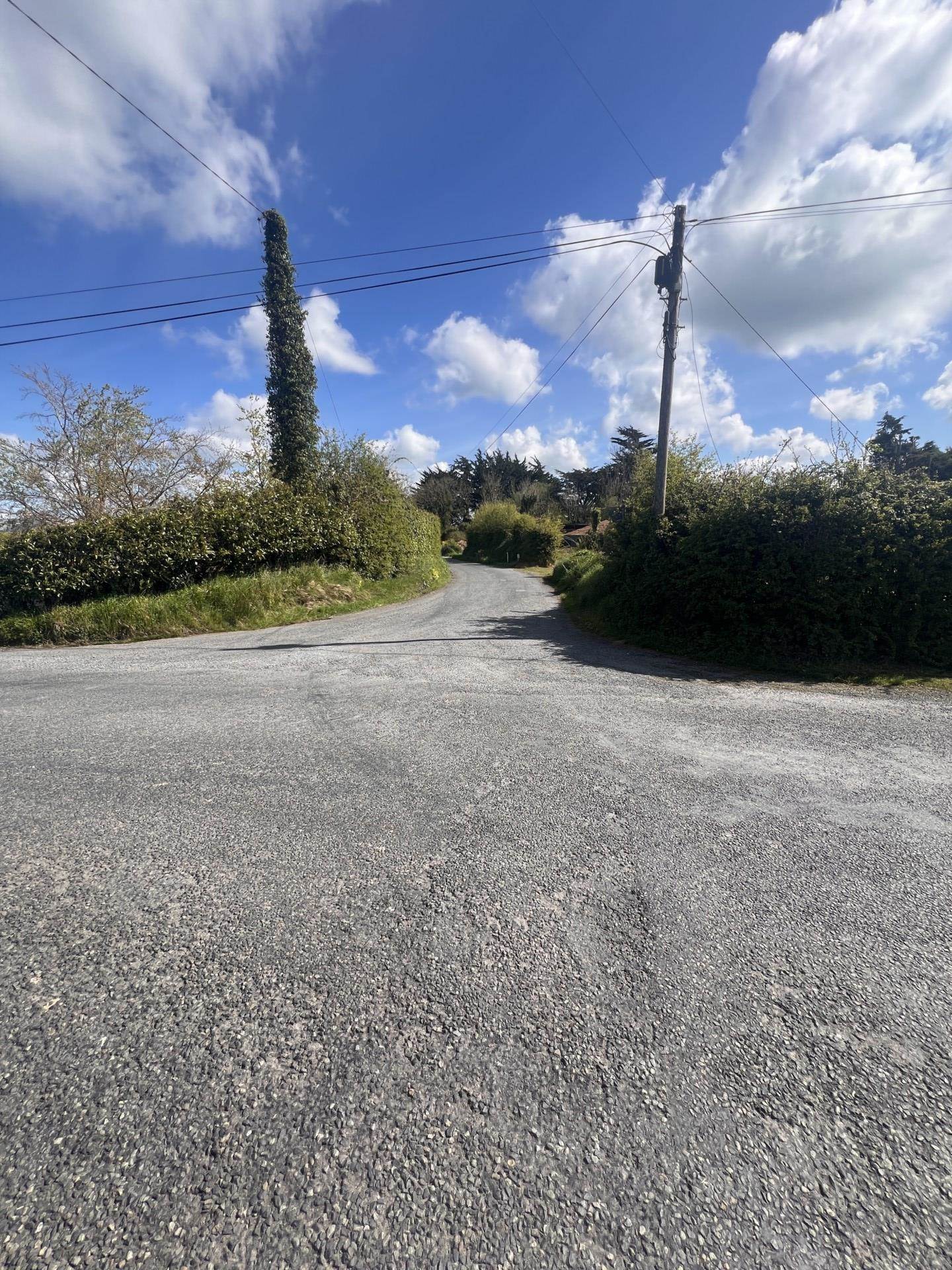 Ballagh, Raheenagh  Ballagh, Raheenagh