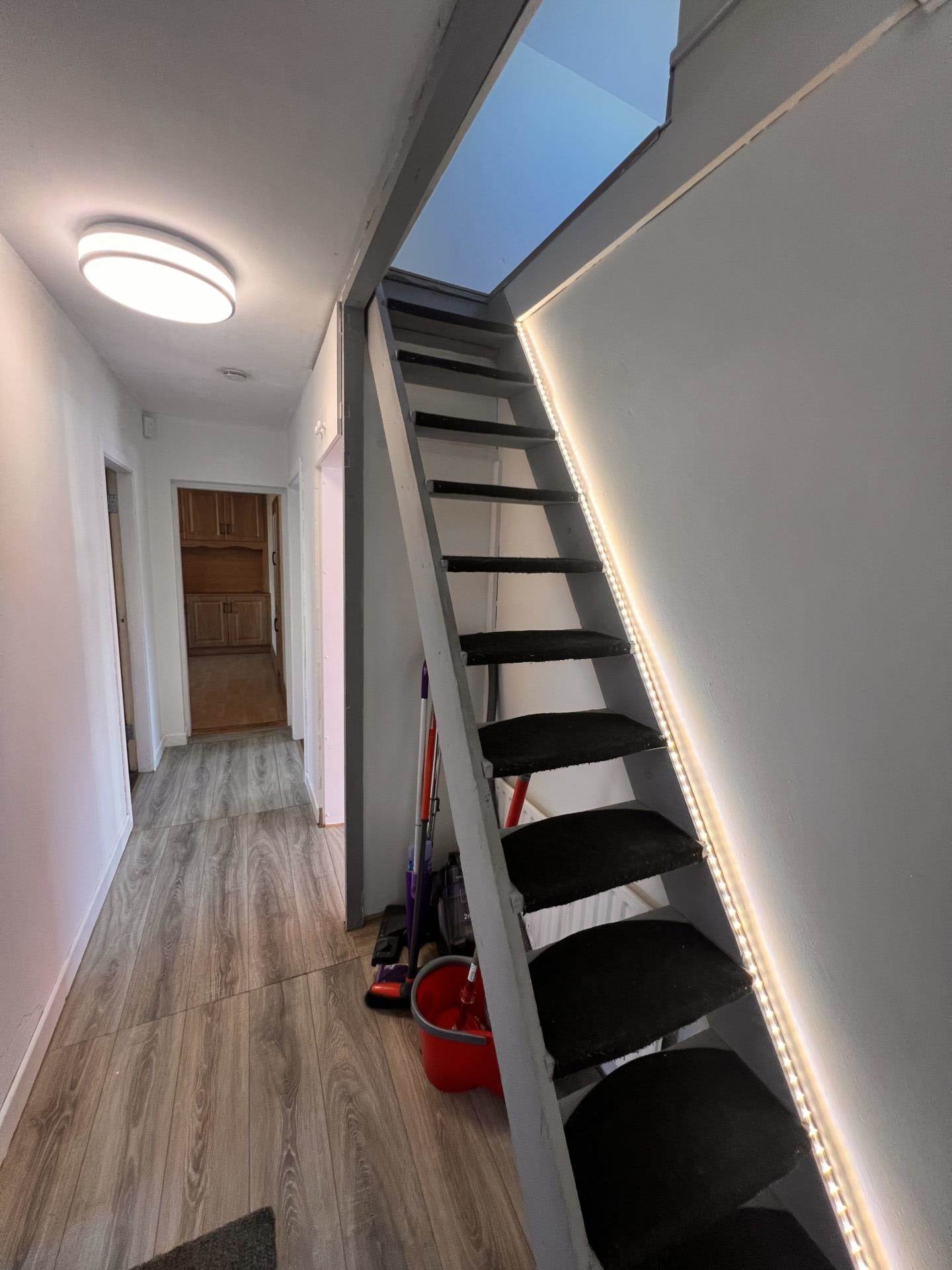 Glenastar, Ardagh, V42 NX62  Glenastar, Ardagh, V42 NX62