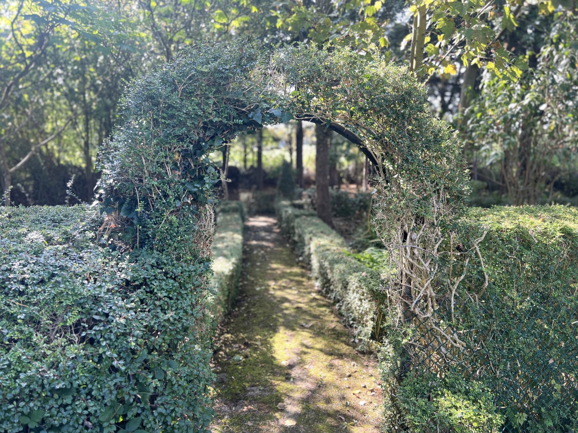 Holycross, Rathkeale, V94 KXE9  Holycross, Rathkeale, V94 KXE9