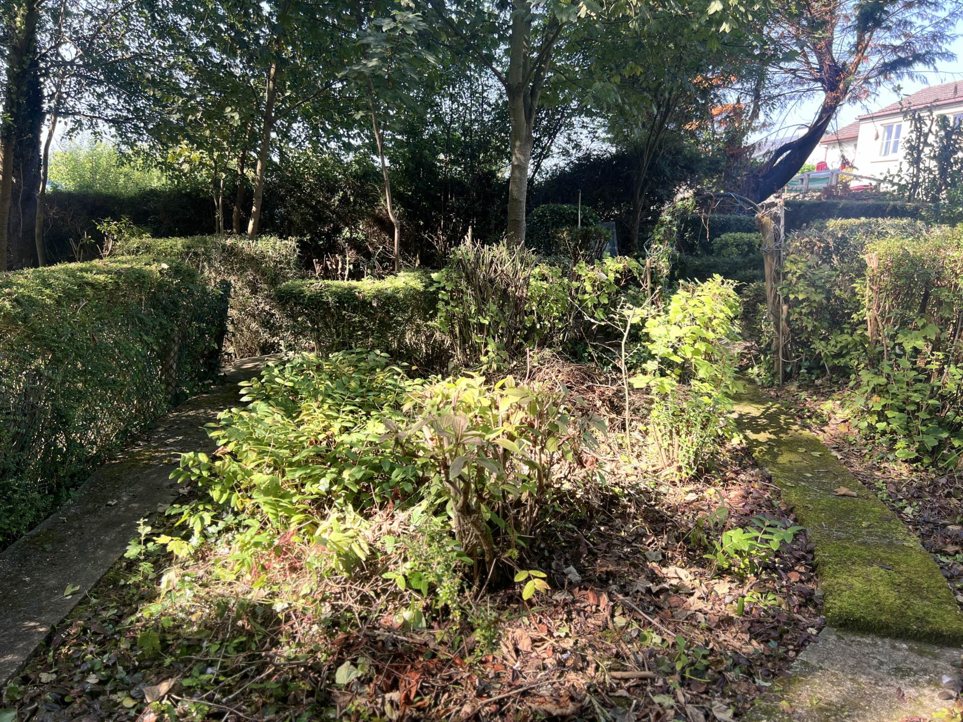 Holycross, Rathkeale, V94 KXE9  Holycross, Rathkeale, V94 KXE9