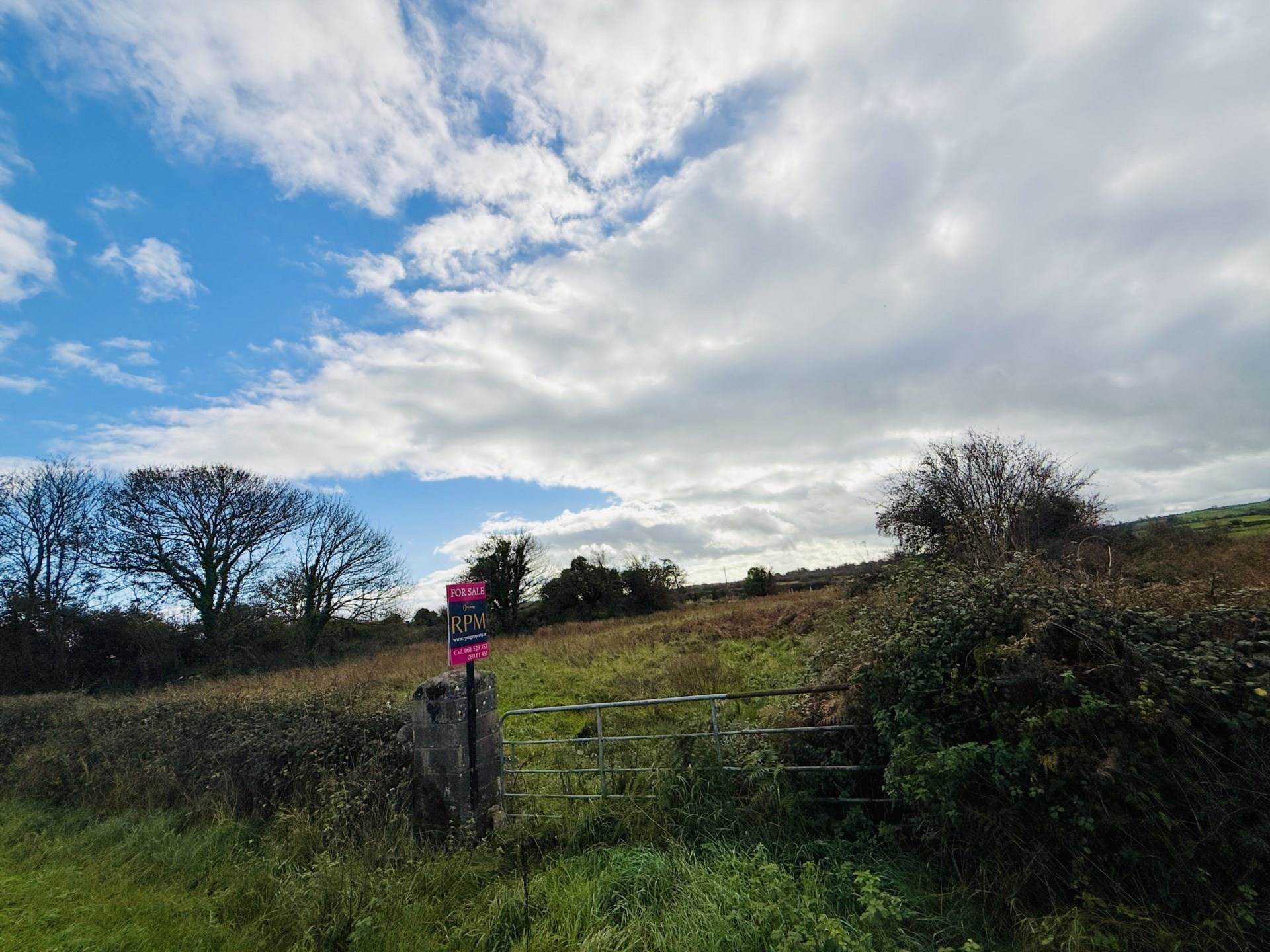Morgan South, Askeaton Co Limerick Land Co Ordinates 52.605690, -9.021066