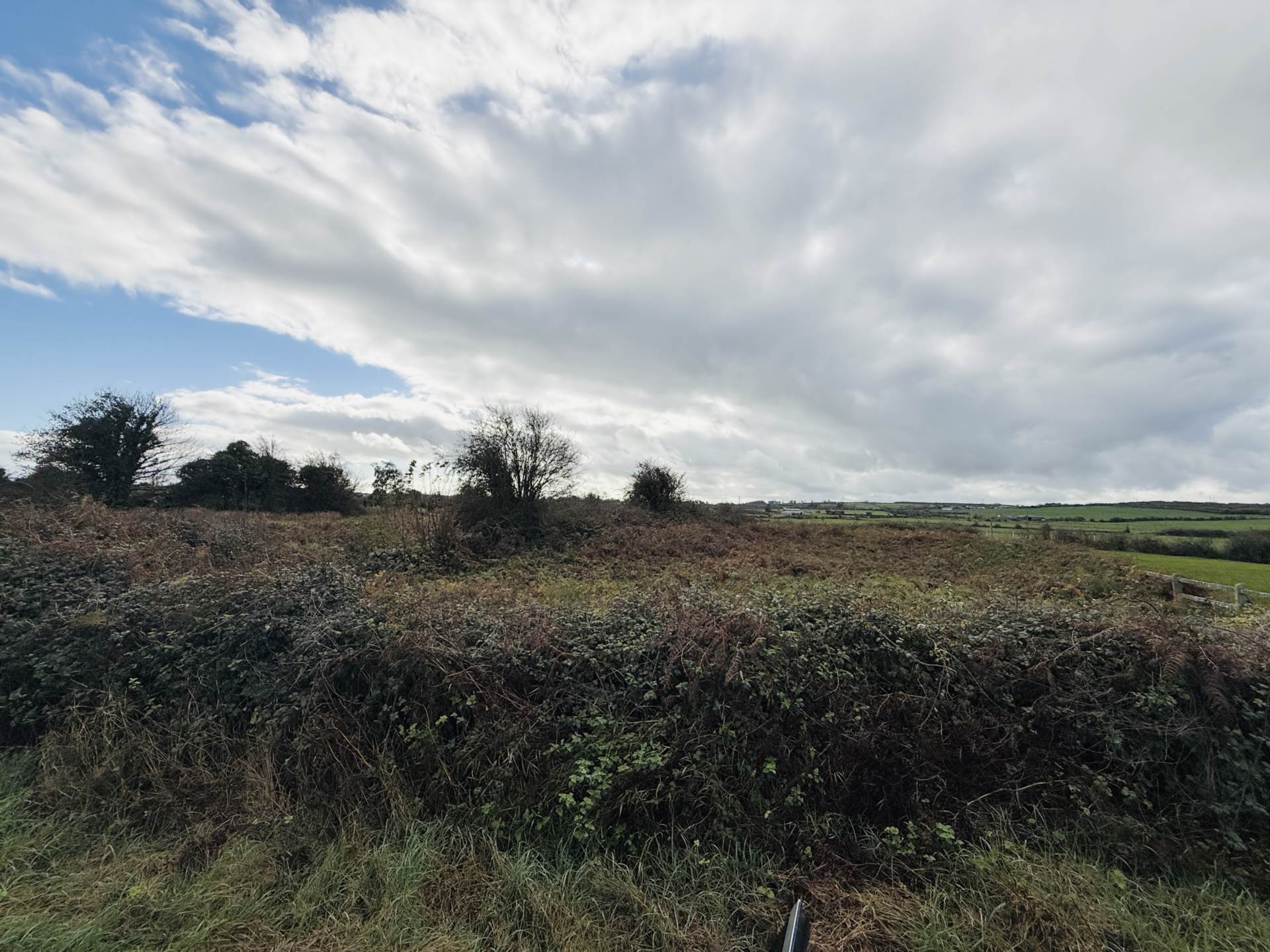 Morgan South, Askeaton Co Limerick Land Co Ordinates 52.605690, -9.021066  Morgan South, Askeaton Co Limerick Land Co Ordinates 52.605690, -9.021066