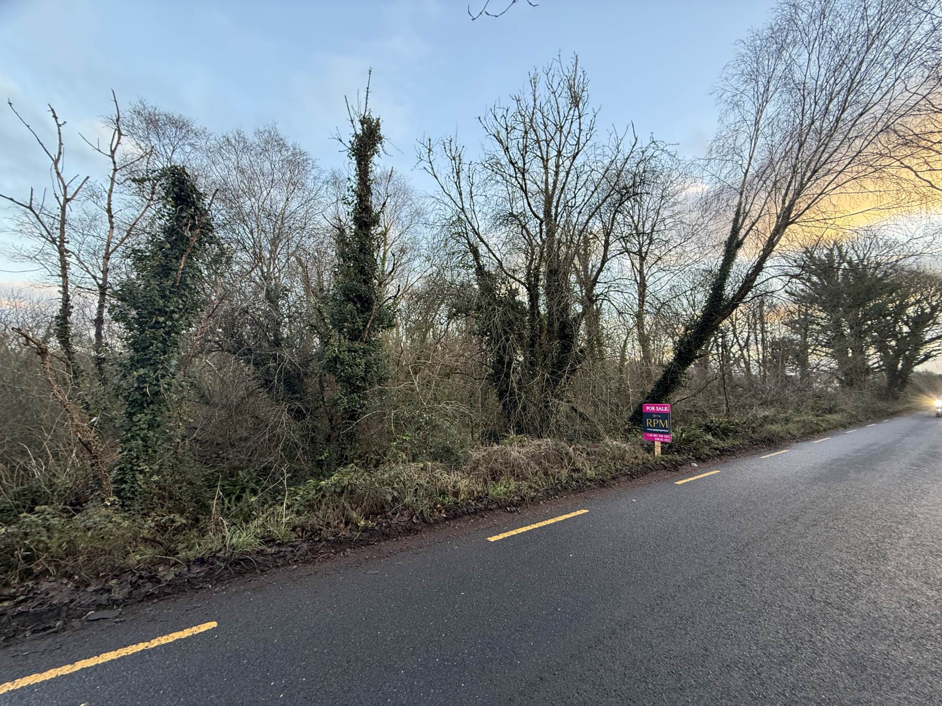 Garden Hill, Castleconnell, Co Limerick