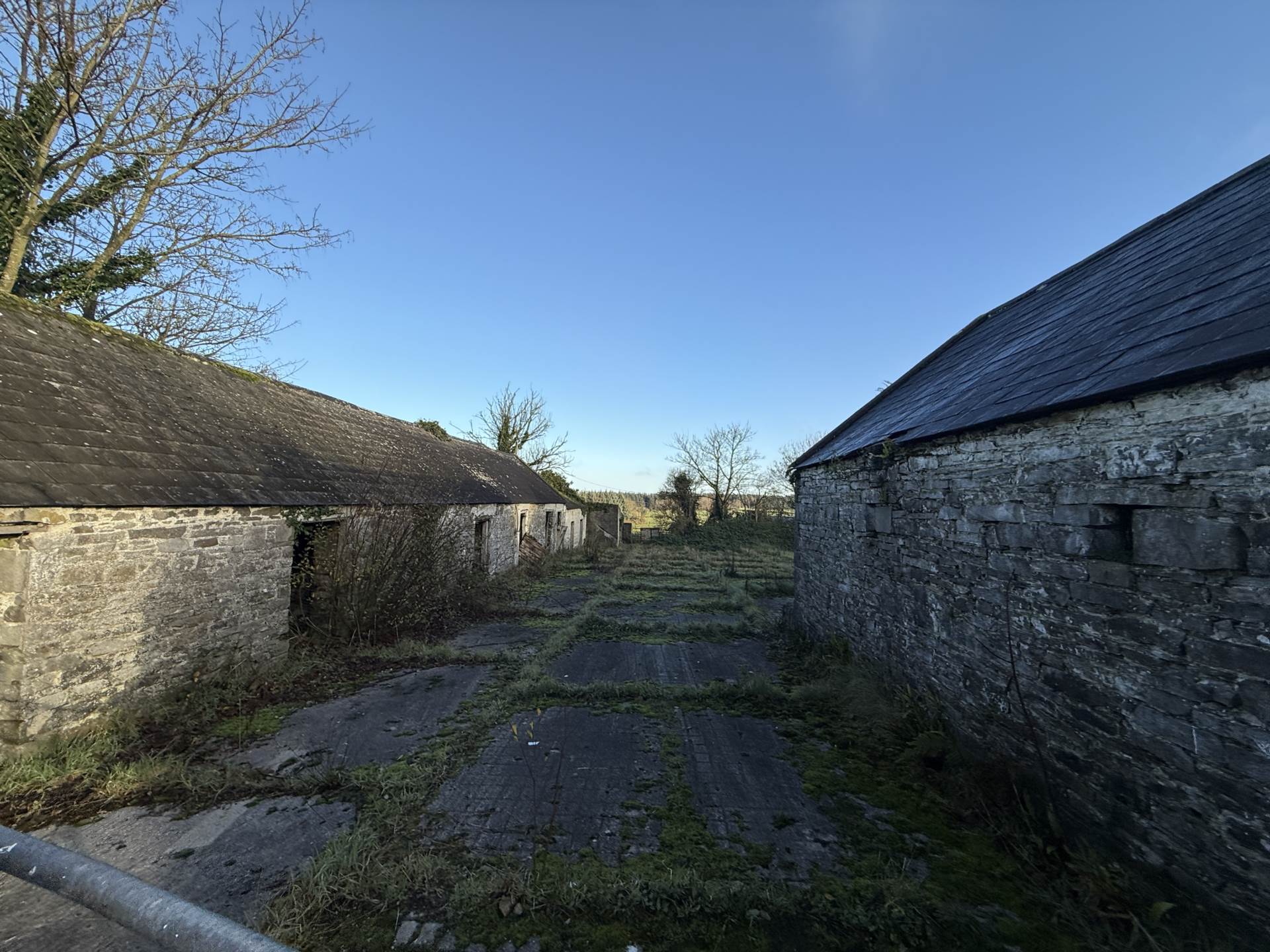 Knocknaboula, Foynes Co Limerick V94DK60, V94 DK60