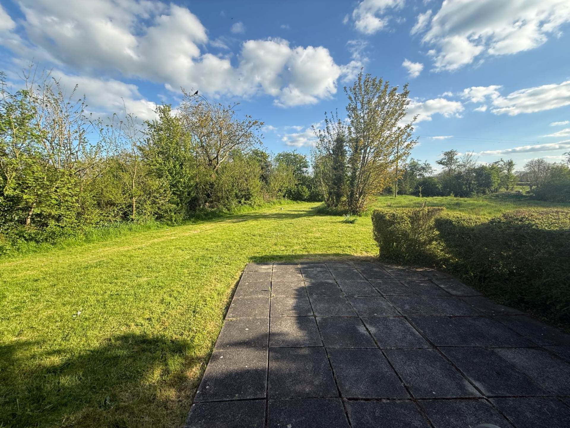Ballingrane, Cappagh, Co Limerick, V94 WK6Y