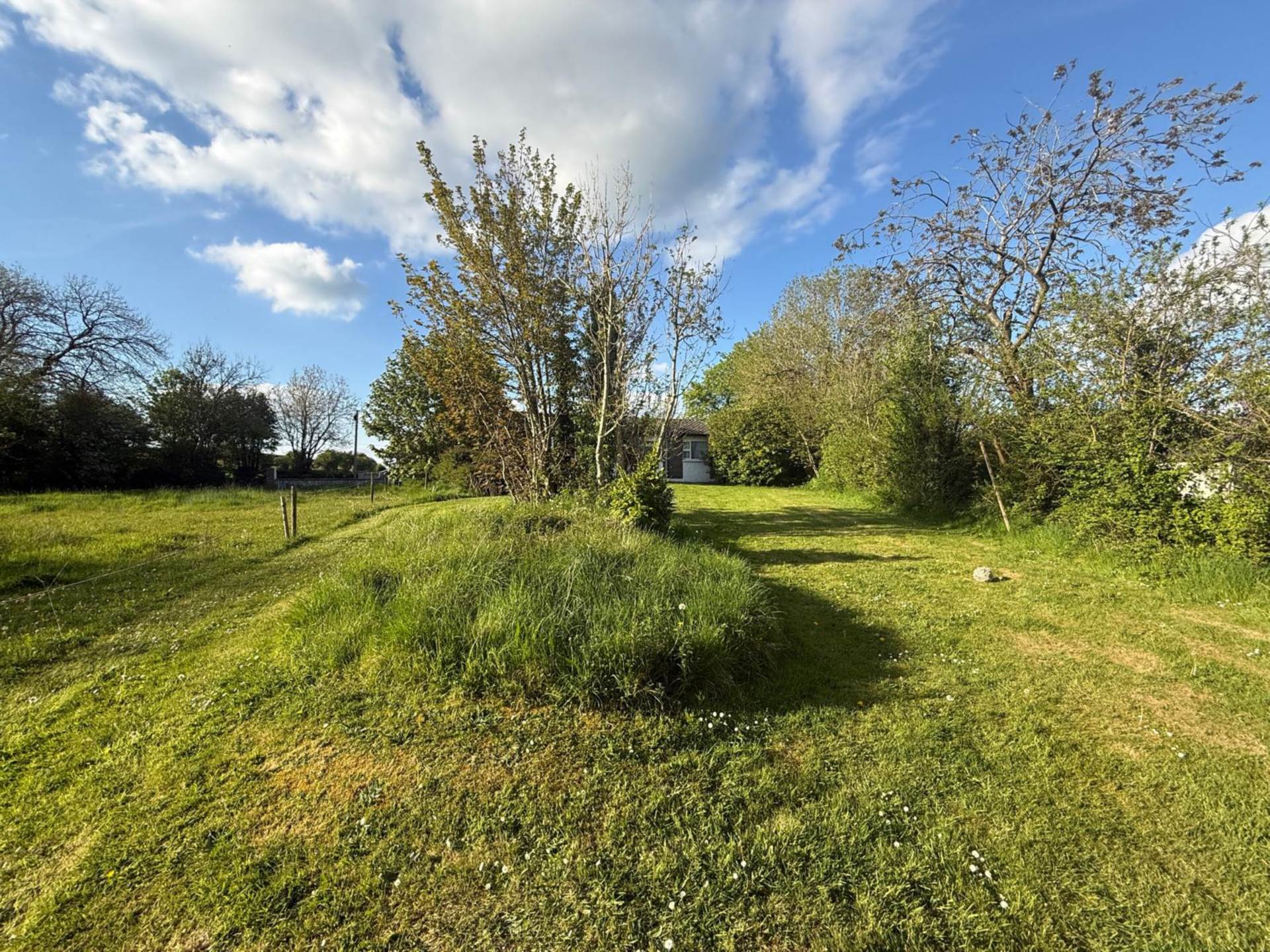 Ballingrane, Cappagh, Co Limerick, V94 WK6Y