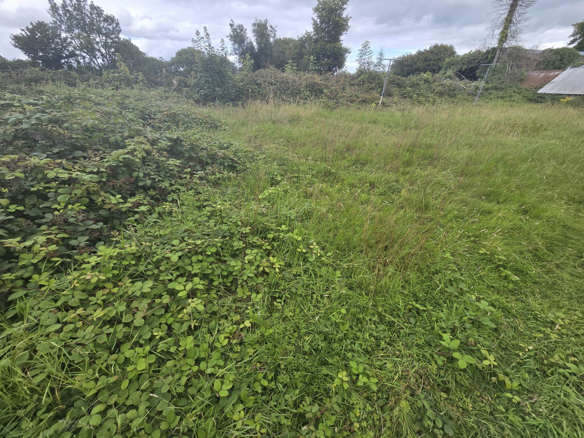 Rylane, Co Cork, P32 ET10, P32 ET10 Rylane, Co Cork, P32 ET10, P32 ET10