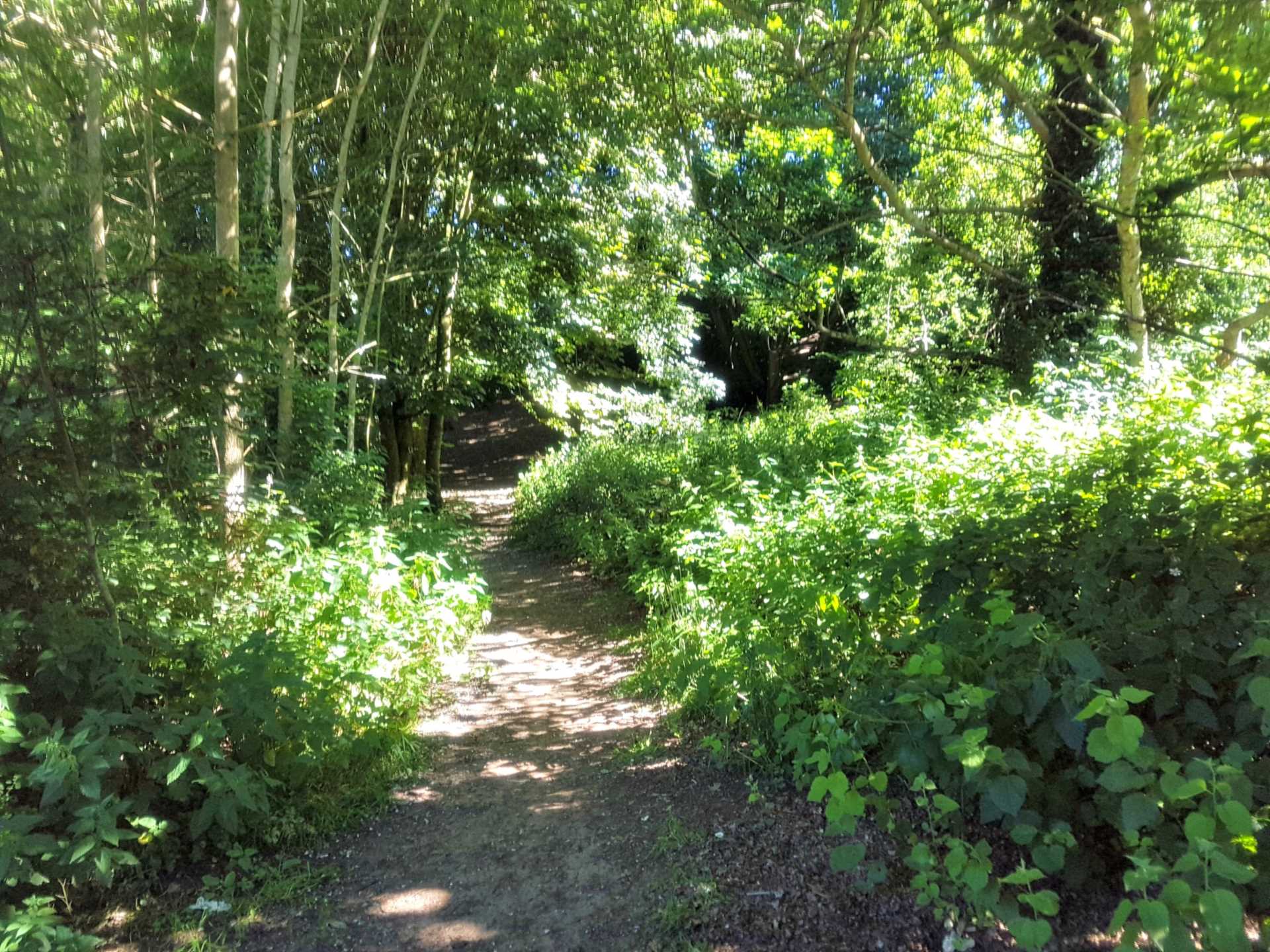Bridgewood Road, Woodbridge, Image 12