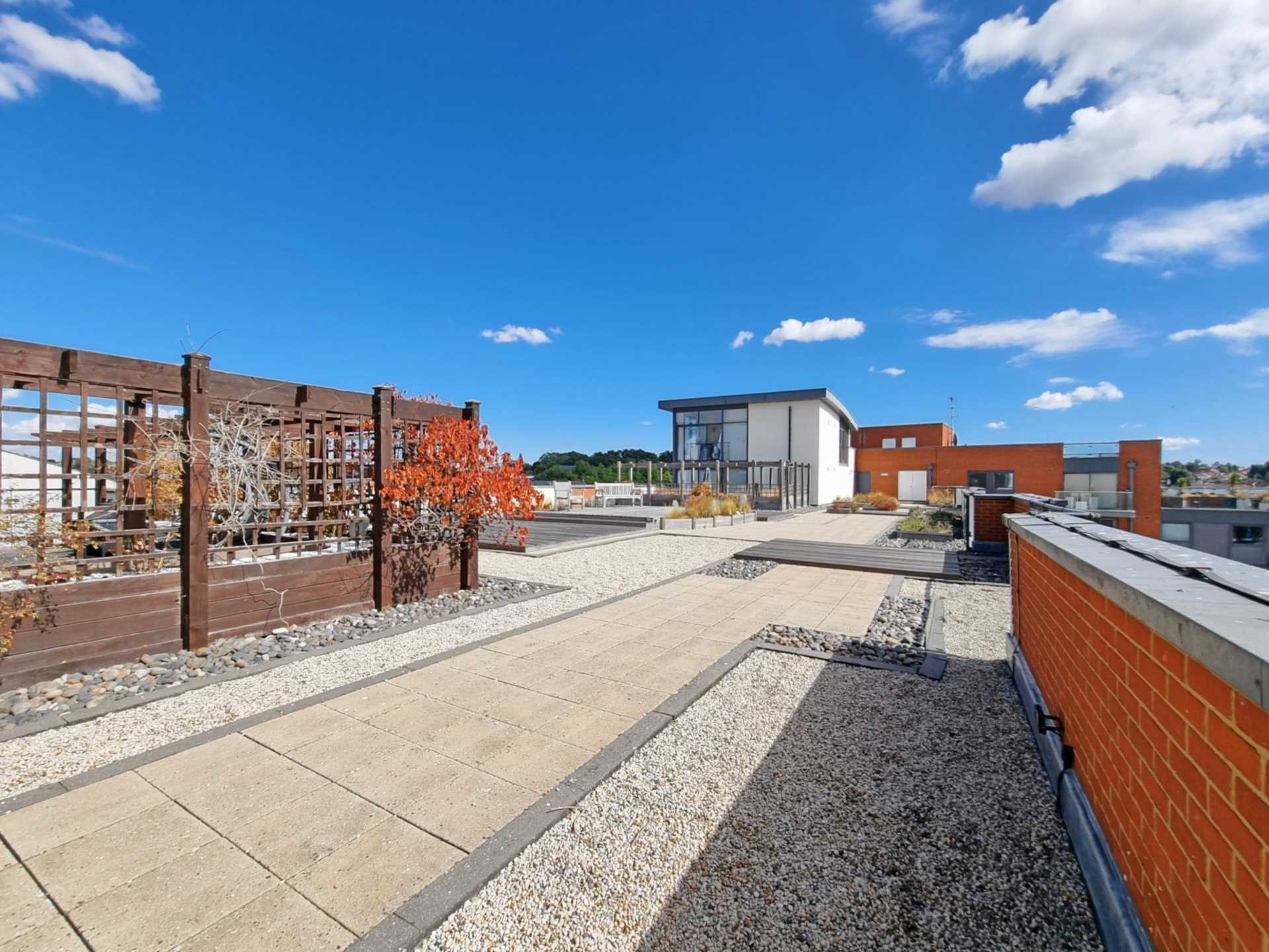 Coprolite Street, Ipswich, Image 14