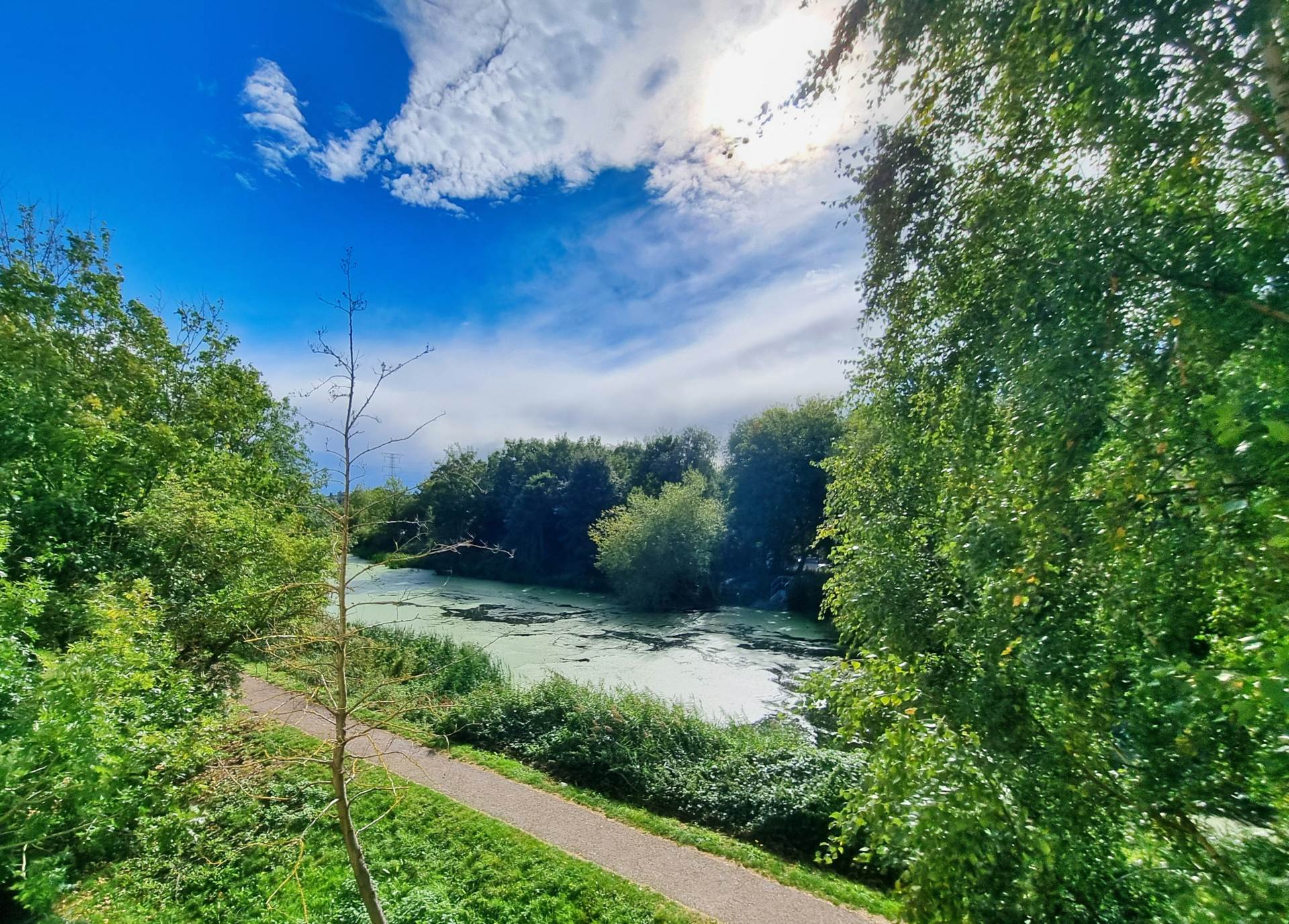 Yeoman Close, Ipswich, Image 9