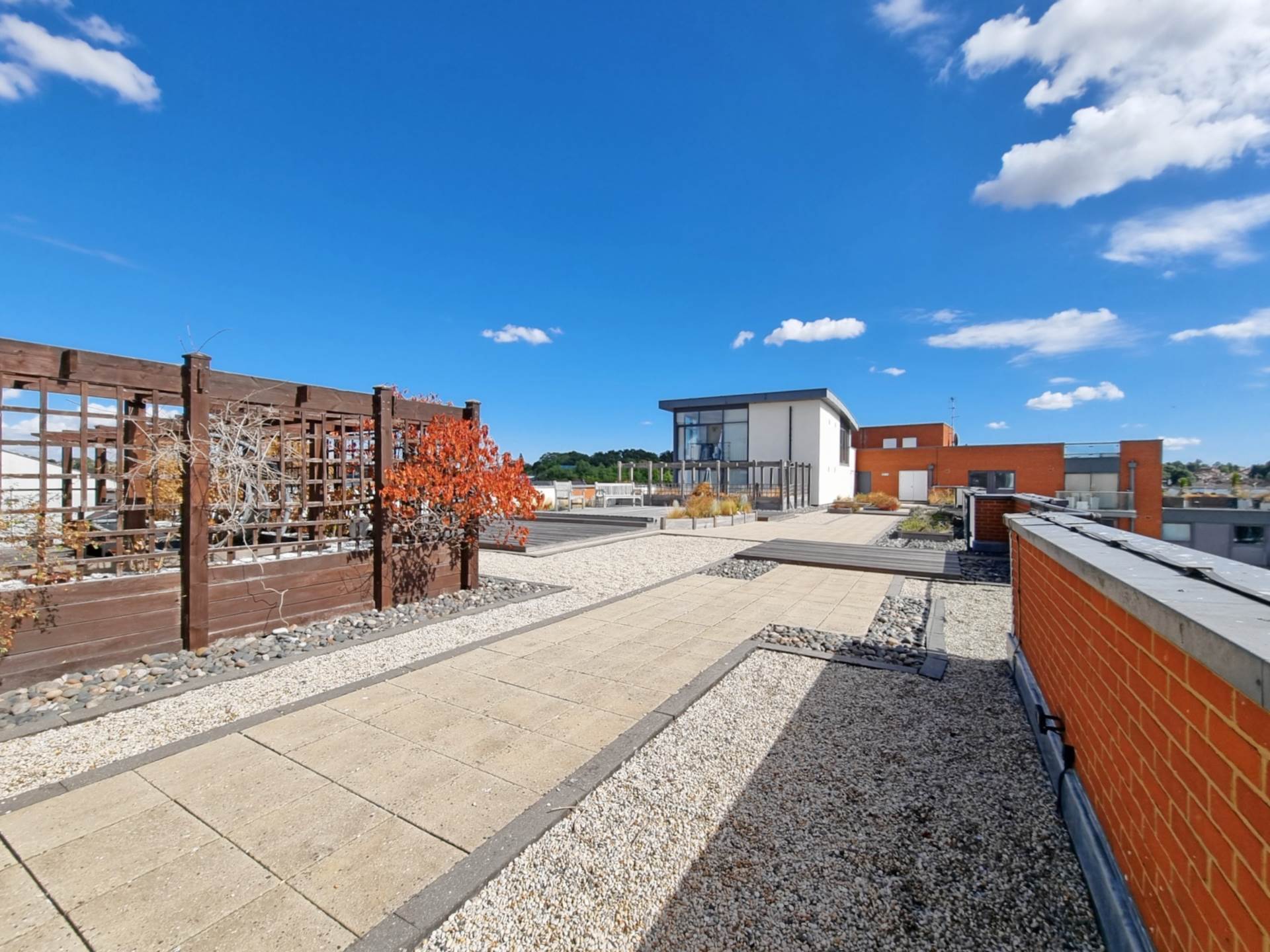 Coprolite Street, Ipswich, Image 19