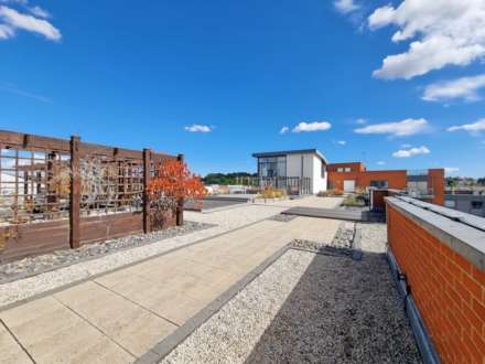 Coprolite Street, Ipswich, Image 19