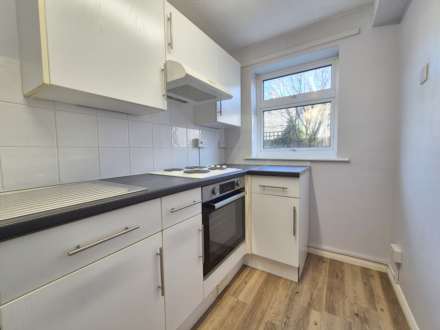 Springland Close, Ipswich, Image 6