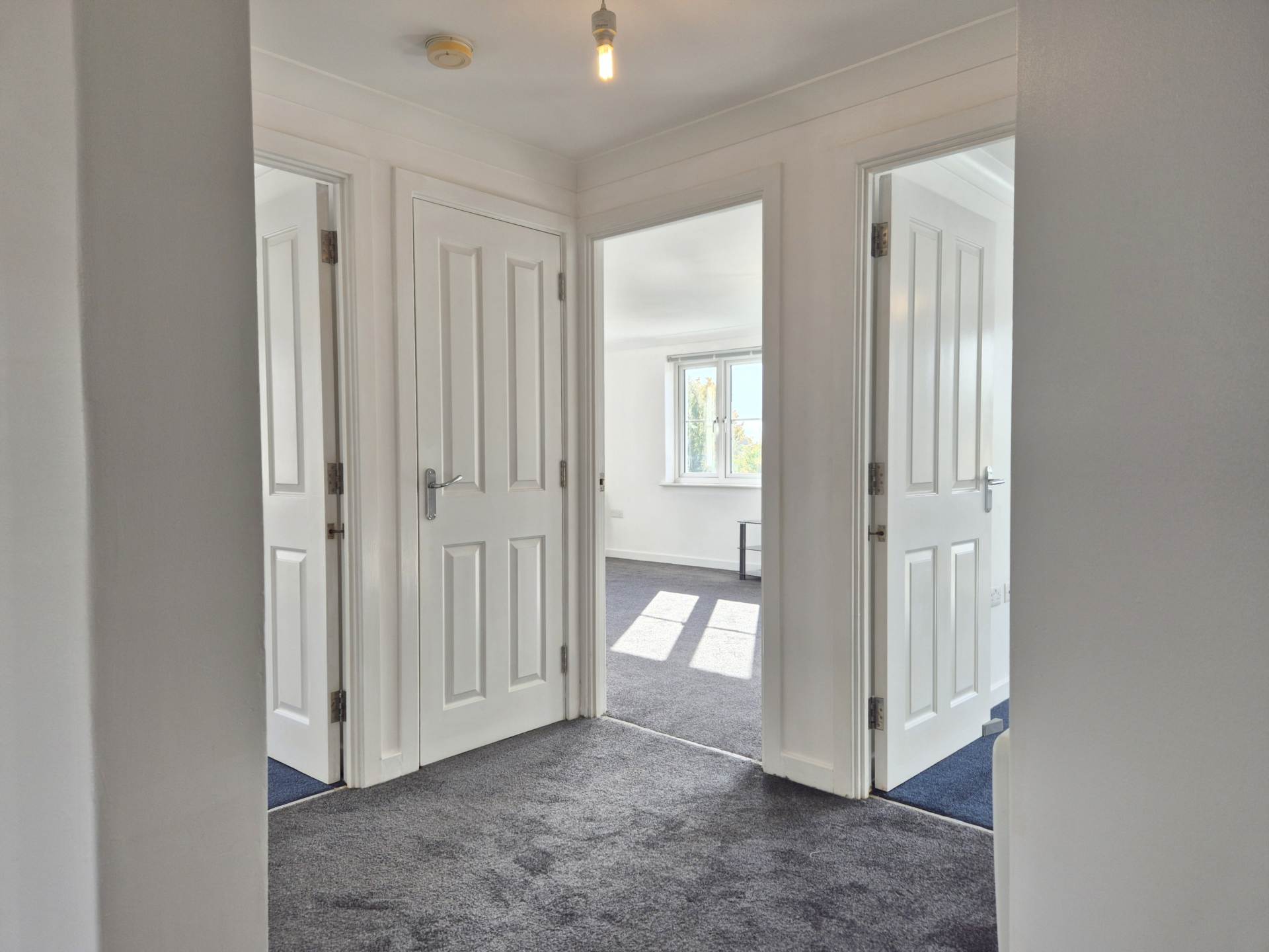 Provan Court, Foxgrove Gardens, Ipswich, Image 8