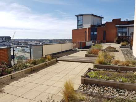 Coprolite Street, Ipswich, Image 18