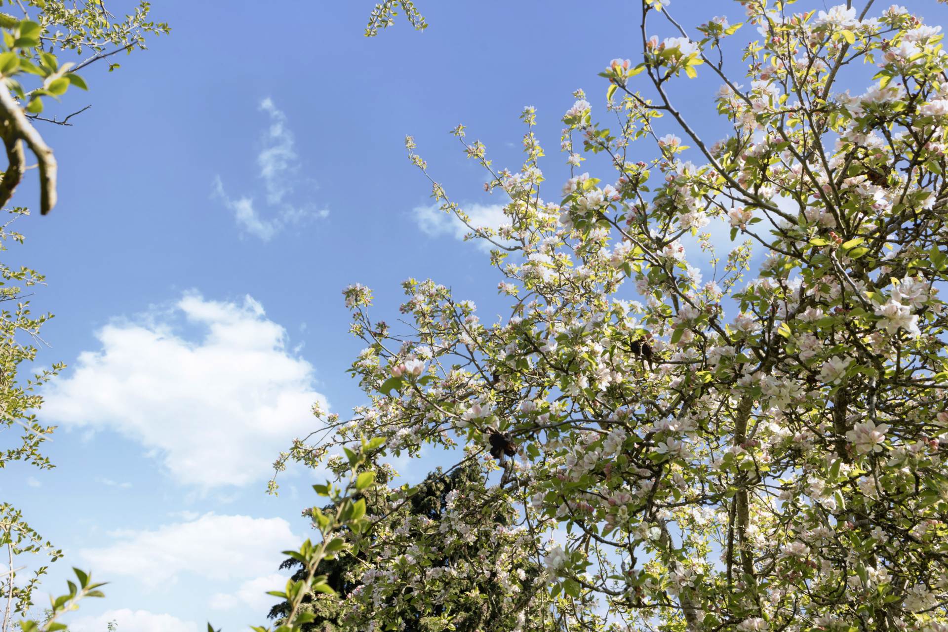 Kidmore Lane, Sonning Common, Image 23