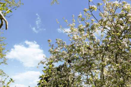 Kidmore Lane, Sonning Common, Image 23