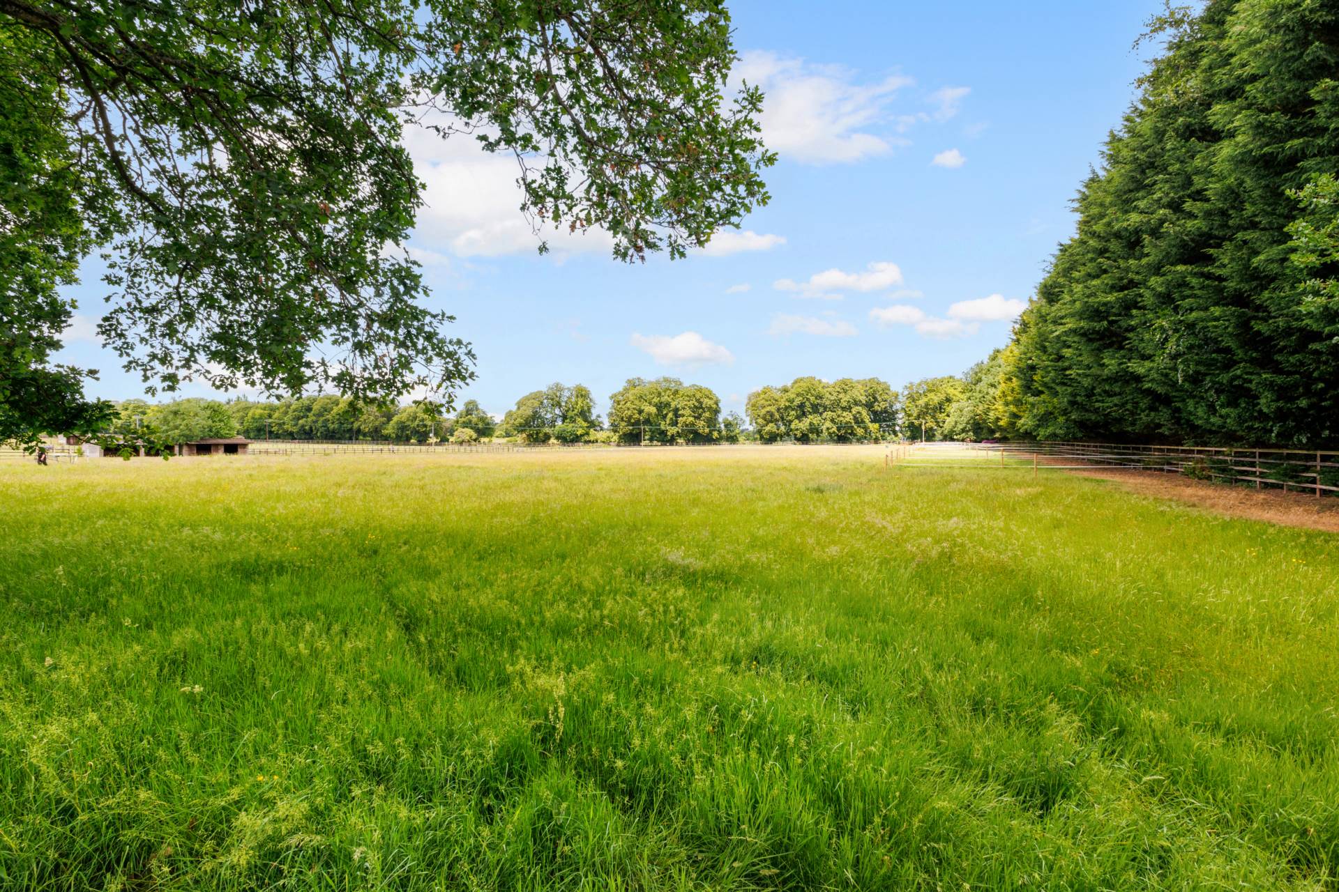 Manor Wood Gate, Lower Shiplake, Image 29