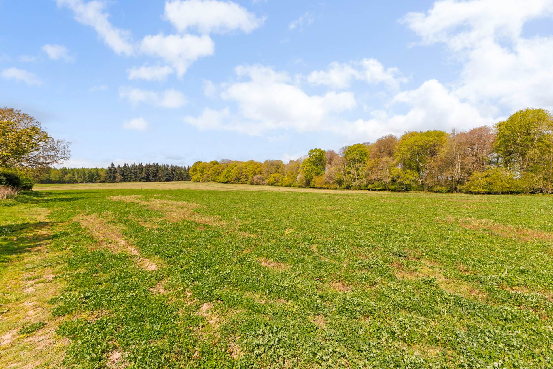 Bix Common, Henley On Thames, Image 18