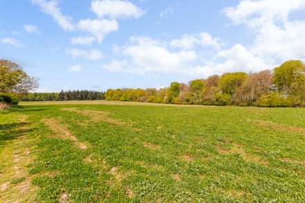 Bix Common, Henley On Thames, Image 18