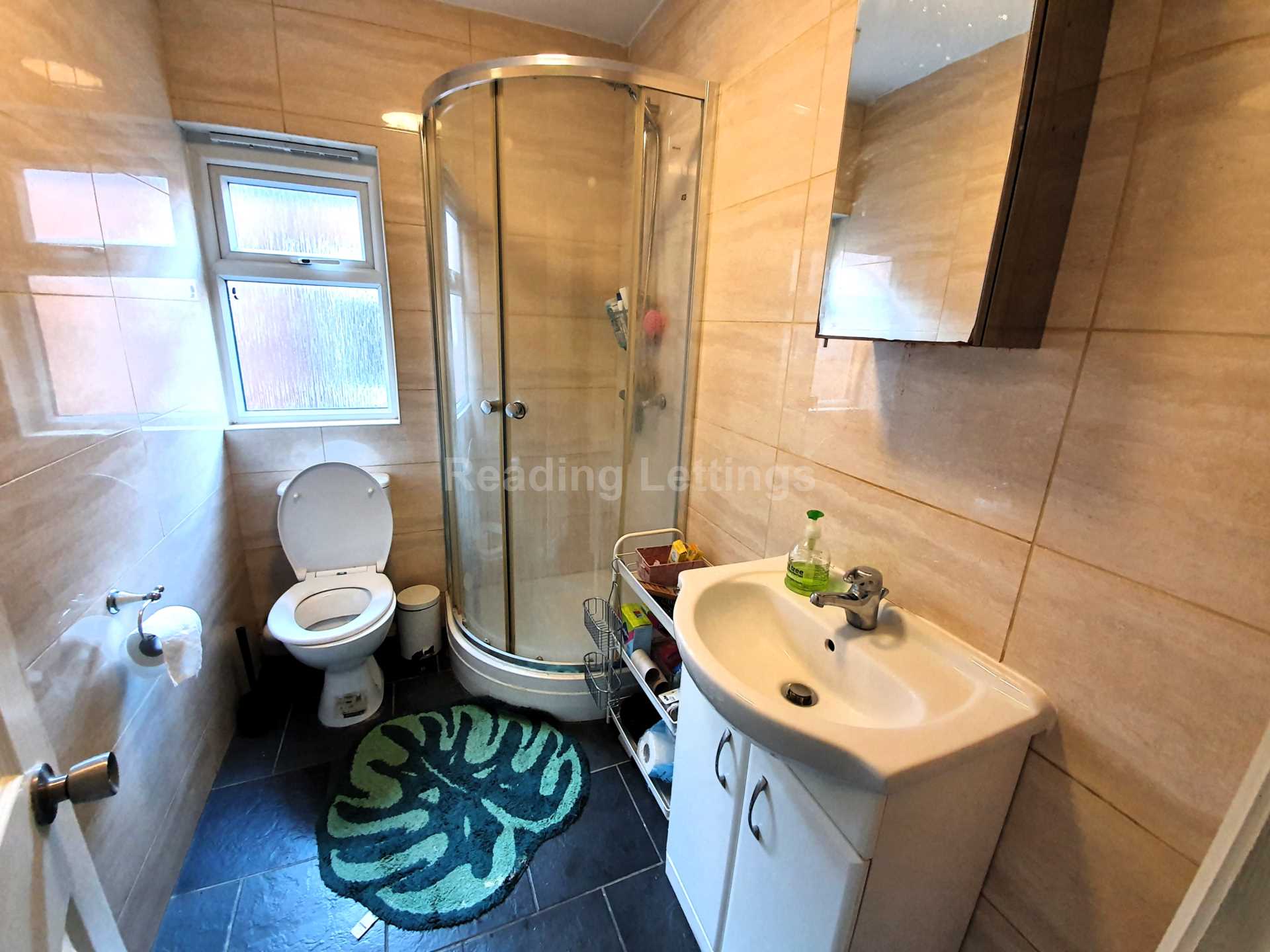 Culver Road, Reading, Image 16