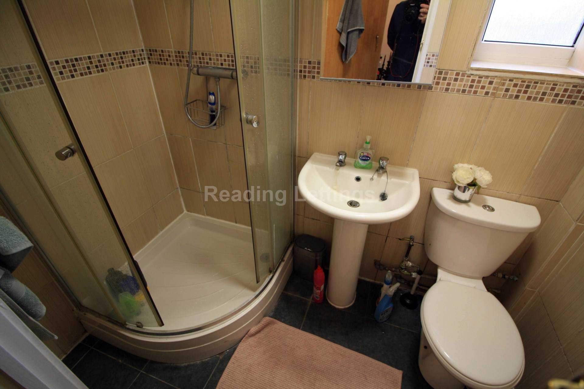 Palmer Park Avenue, Reading, Image 7