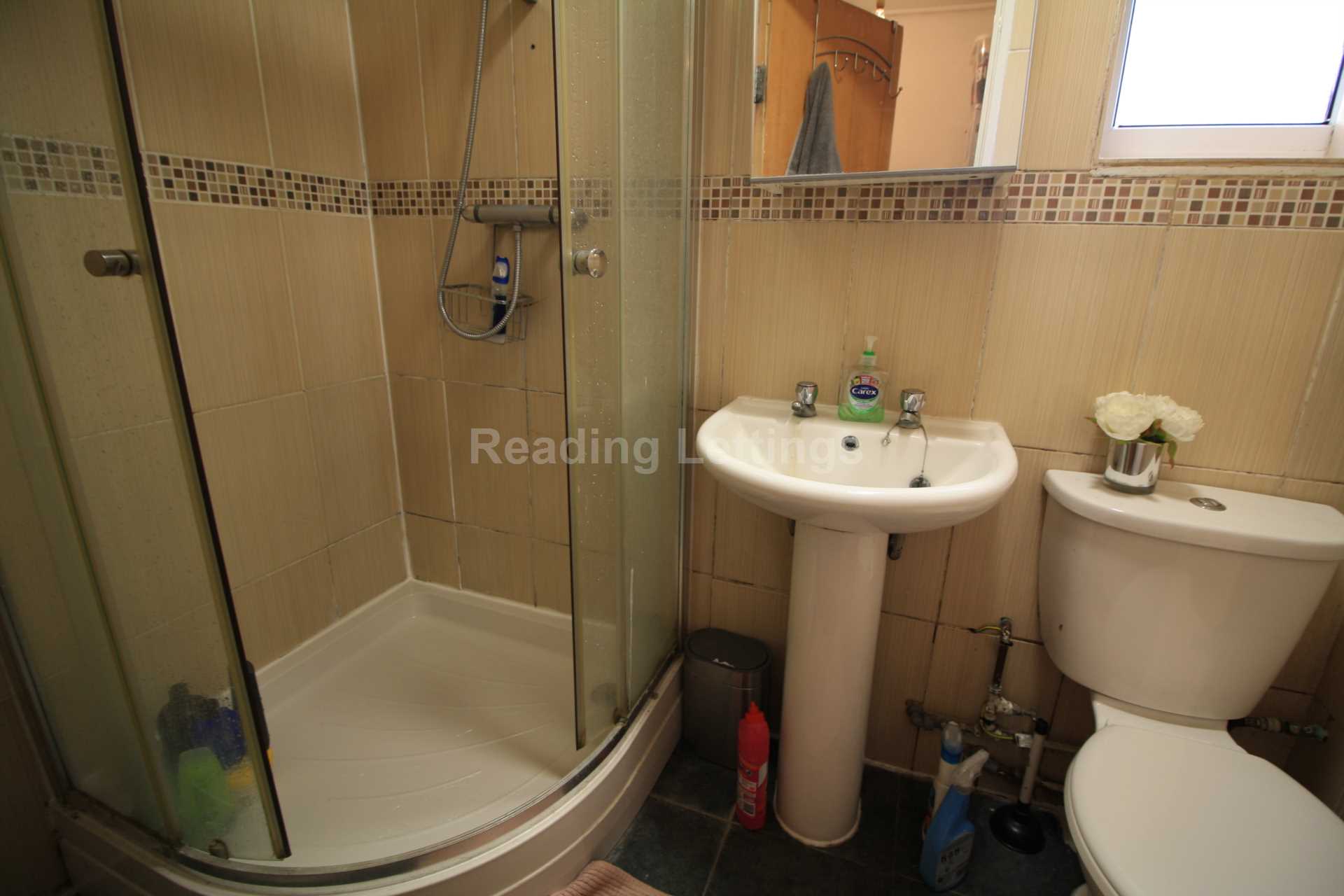 Palmer Park Avenue, Reading, Image 9