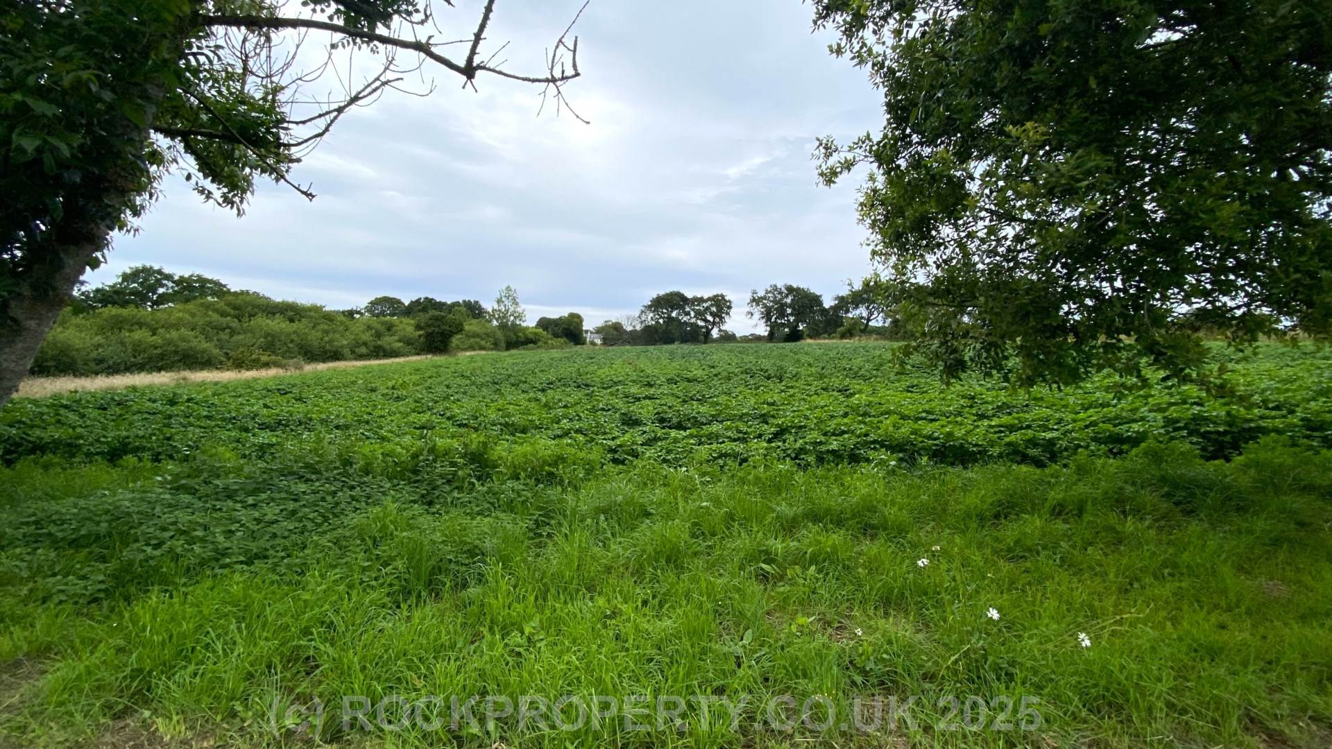 SALE AGREED BY ROCKPROPERTY, La Rue Du Pont, Trinity, Image 22