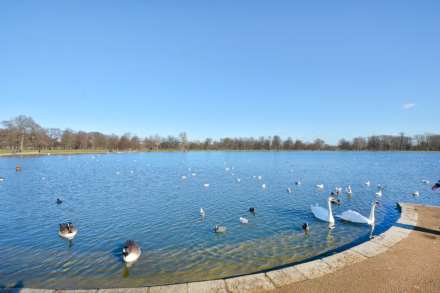 Hyde Park Gardens, Hyde Park W2, Image 20