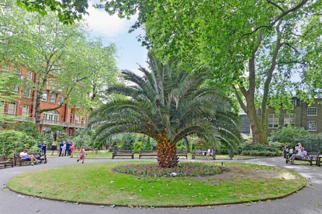 Mount Street, Mayfair, Image 25