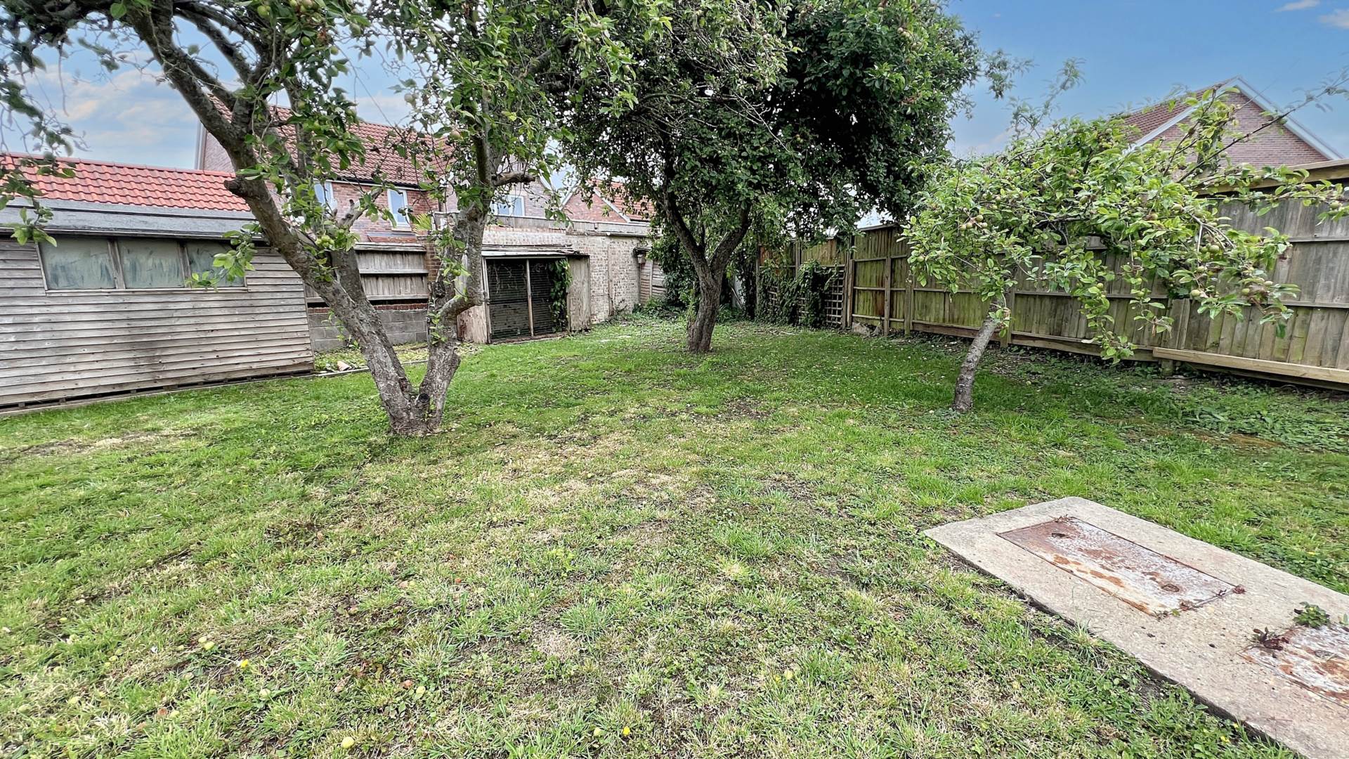 Hedges, Hambridge, Image 21