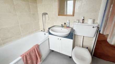 Hedges, Hambridge, Image 13
