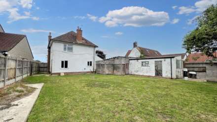 Hedges, Hambridge, Image 17