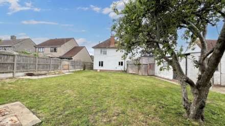 Hedges, Hambridge, Image 18