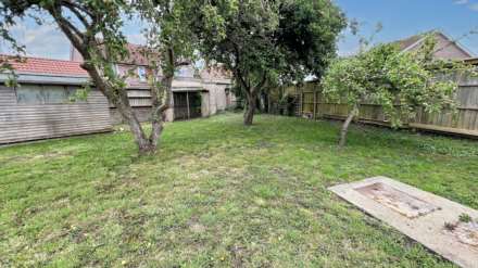 Hedges, Hambridge, Image 21
