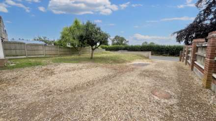 Hedges, Hambridge, Image 22