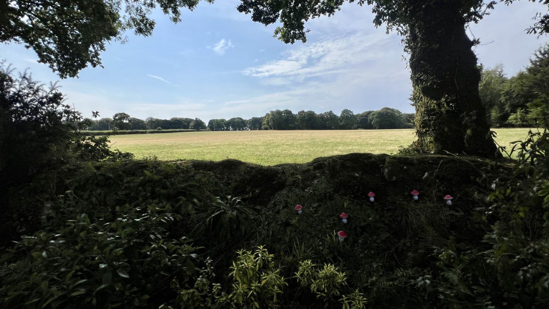 Turnpike, Chard, Image 19