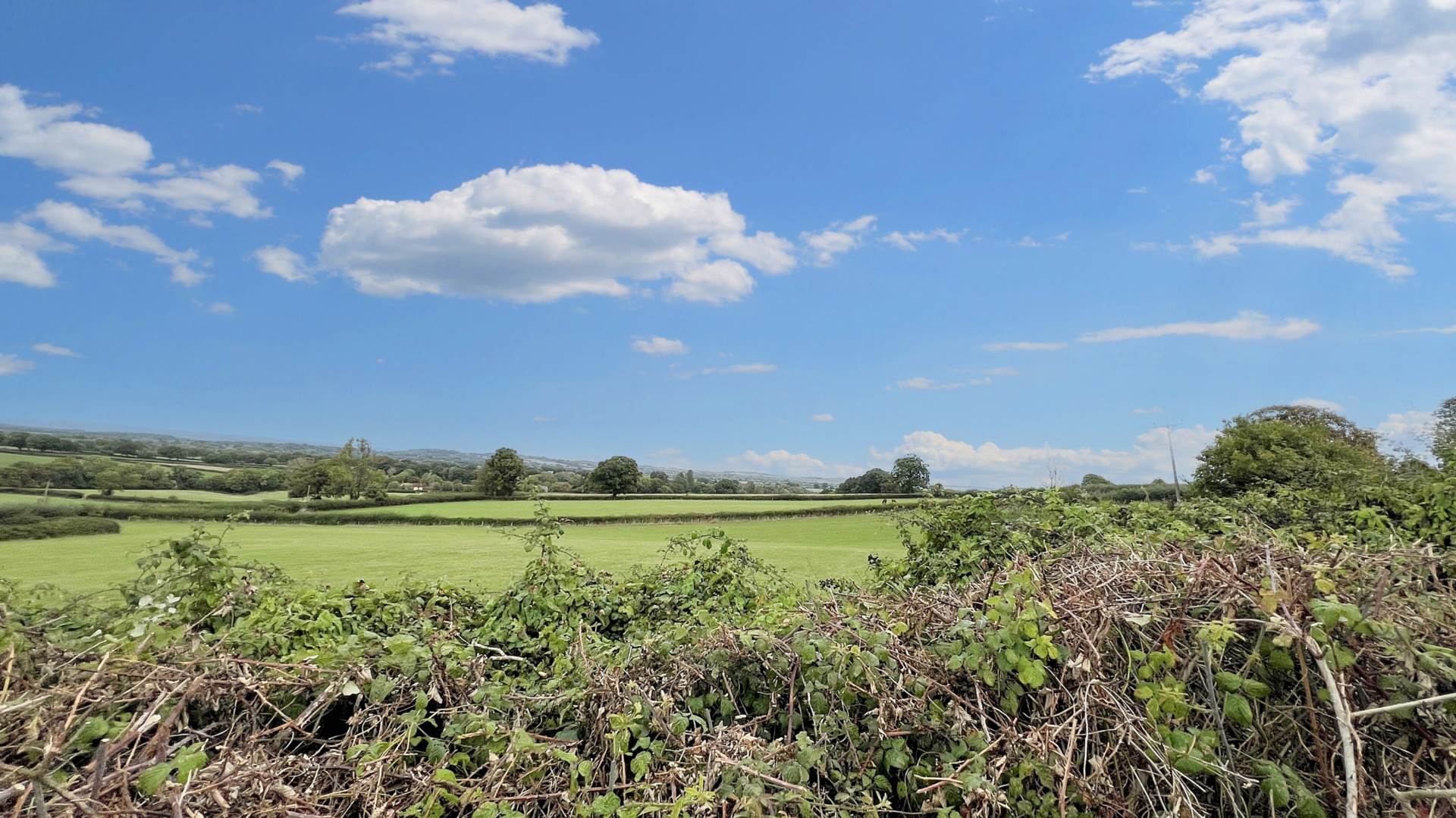 Windmill Hill, Ashill, Ilminster, Image 17