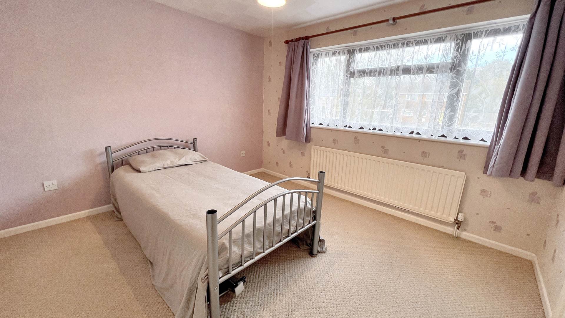 Nursery Gardens, Chard, Image 12