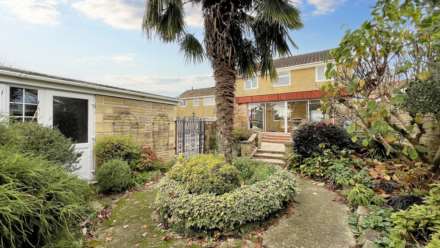 Nursery Gardens, Chard, Image 17